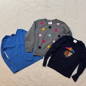 Hanna Andersson Bundle Blue Long SL Gray Flower Applique Navy Hollie Hedgehog